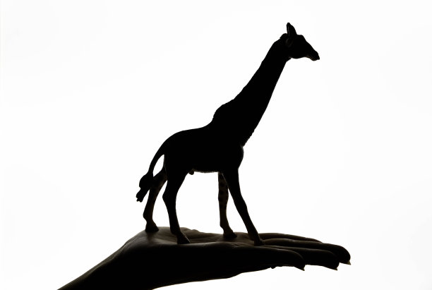 长颈鹿轮廓图片下载