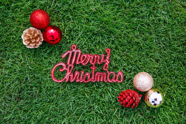 热带的圣诞节图片下载