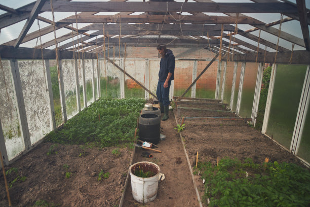 一个在温室里浇水的人。图片下载
