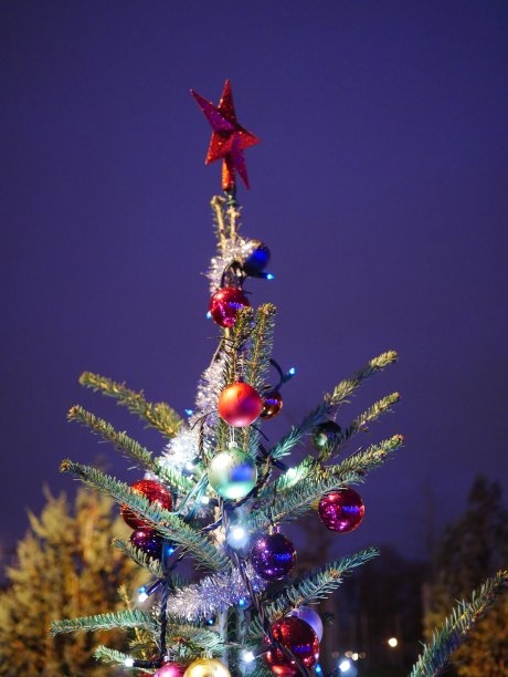 住圣诞树图片下载