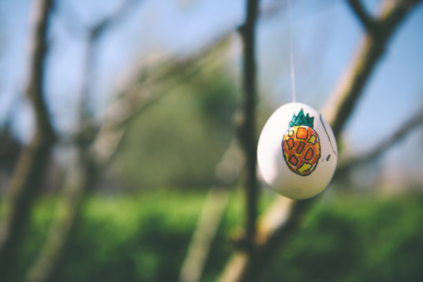 手工制作的复活节彩蛋挂在花园里图片下载