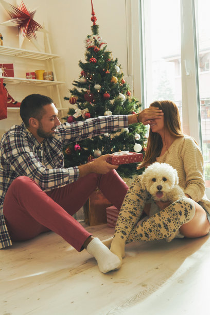 一对相爱的情侣坐在圣诞树旁。圣诞节和新年的概念。图片下载