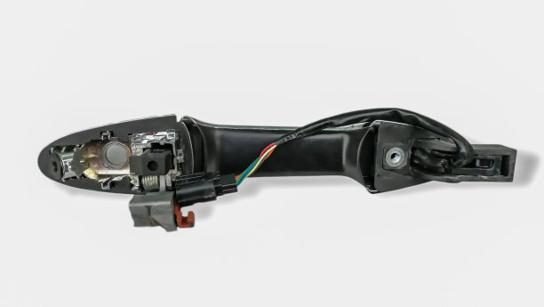 盘子，火鸡肉，白肉，肝-内脏，鸟图片下载