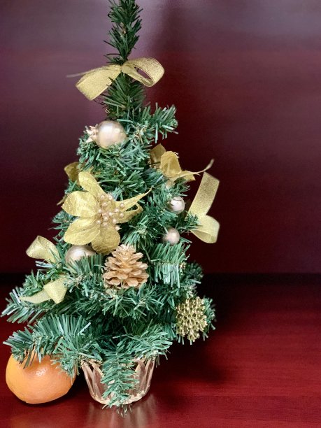 圣诞树图片下载