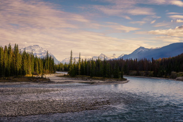 落基山脉与松树林日落和河流在贾斯珀国家公园的风景图片下载