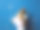 穿着白色t恤的漂亮非洲女人开心地跳舞，扔五彩纸屑，庆祝生日。室内照片漂亮的黑人女士拿着香槟和气球与高兴的面部表情图片下载
