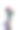 抽象的花朵特写镜头图片下载