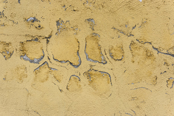 潮湿的墙图片下载