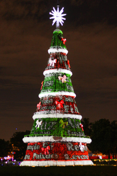 圣诞树- Ibirapuera公园图片下载