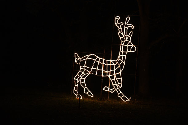 鹿的尸体在黑暗中。灯光动物剪影雕像在黑色的背景。闪亮的圣诞灯。节日装饰。新年传统图片下载