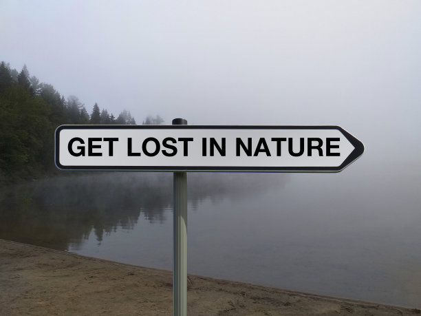 在朦胧的背景下，带有“迷失自然”字样的路标图片下载