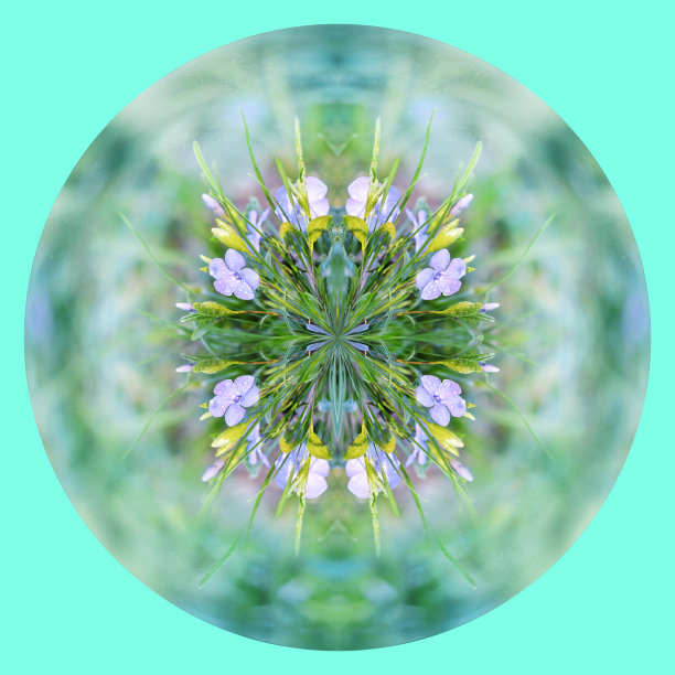 行星与春天的鲜花，在一个蓝绿色的背景。图片下载