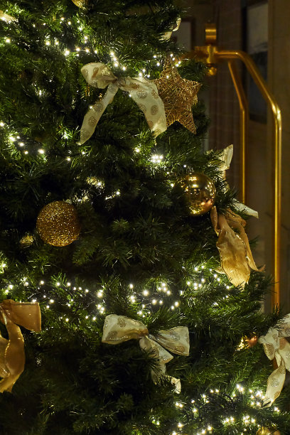 圣诞节图片下载