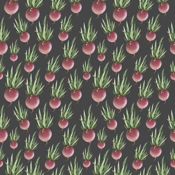 手绘根菜类蔬菜。无缝的自然背景。新鲜有机速食。图片下载