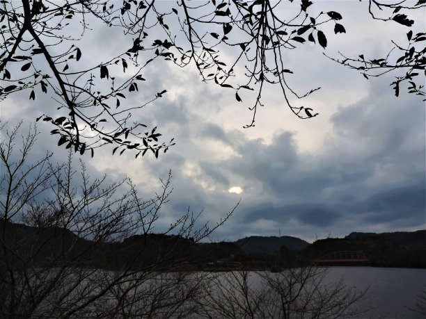 秋天。在湖边。透过树枝看多云的天空。图片下载