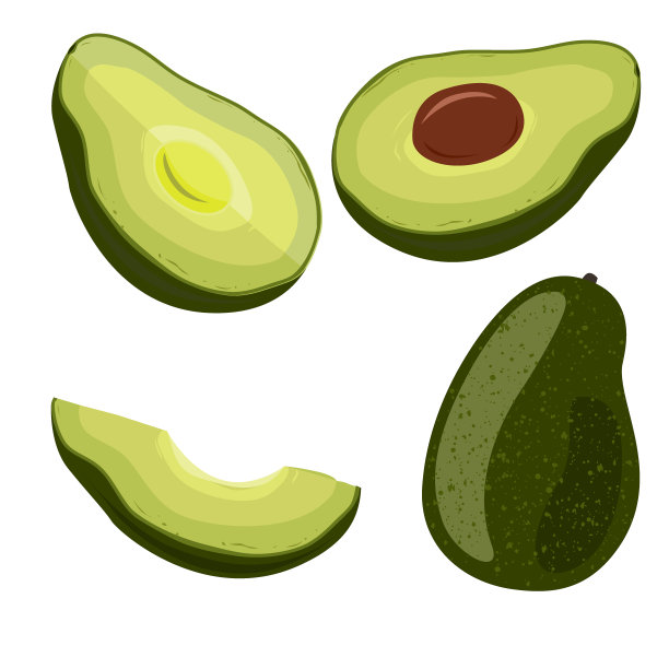 牛油果设置在白色背景。素油的来源，设计元素的包装或烹饪。矢量图图片下载