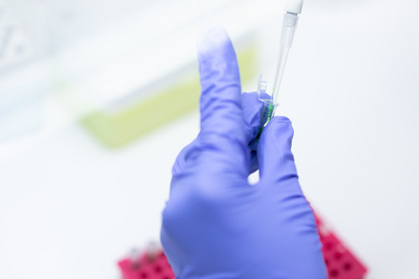聚合酶链反应(PCR)琼脂糖凝胶电泳是一种用于生物化学、分子生物学、遗传学和临床化学实验室的凝胶电泳方法。图片下载