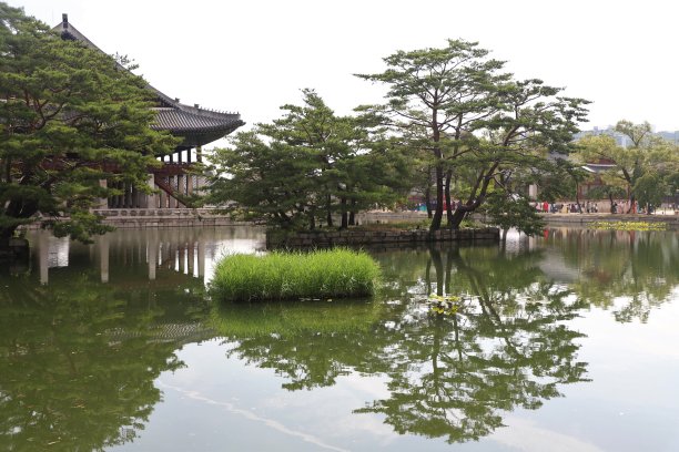 树和宫殿图片下载