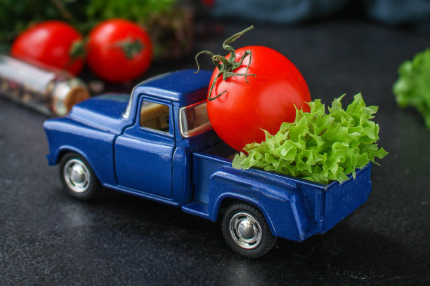 生菜叶、西红柿、蔬菜健康沙拉(维生素成分)菜单概念。食品的背景。前视图。本空间图片下载