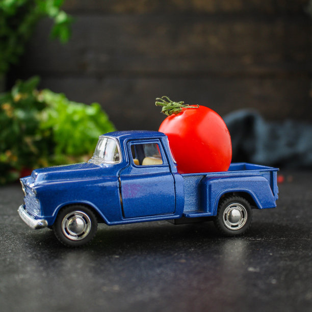 生菜叶、西红柿、蔬菜健康沙拉(维生素成分)菜单概念。食品的背景。前视图。本空间图片下载