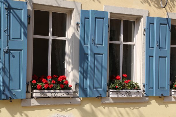 美丽的花朵。窗户上美丽的花朵图片下载