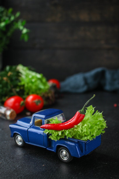 生菜叶、西红柿、蔬菜健康沙拉(维生素成分)菜单概念。食品的背景。前视图。本空间图片下载