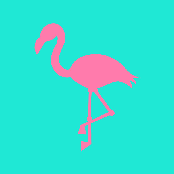 粉红色的火烈鸟图片下载