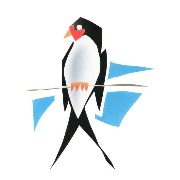 燕子是鸟类素材图片