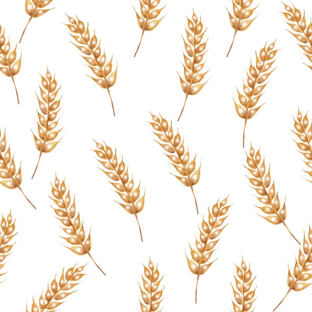 麦穗图案。jpg图片下载