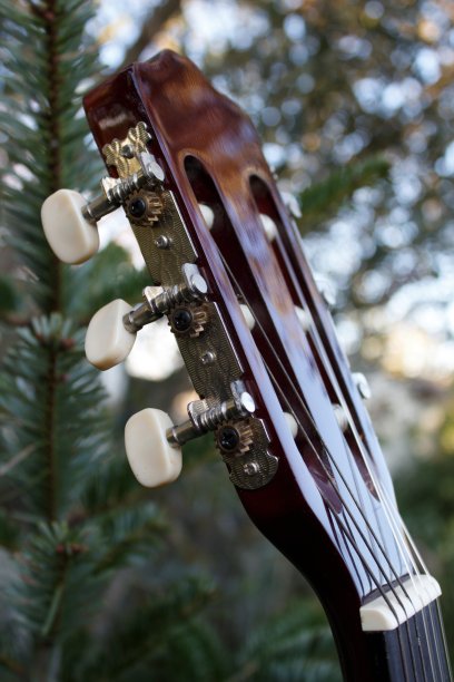 这张照片摄于西班牙吉他的弦钉上图片下载