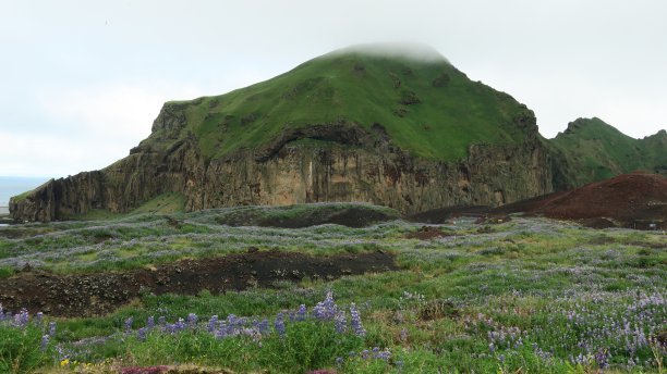 海梅岛图片下载