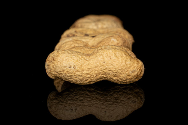 美味的米色花生隔离在黑色玻璃上图片下载