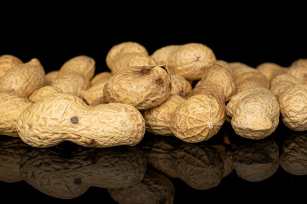 美味的米色花生隔离在黑色玻璃上图片下载