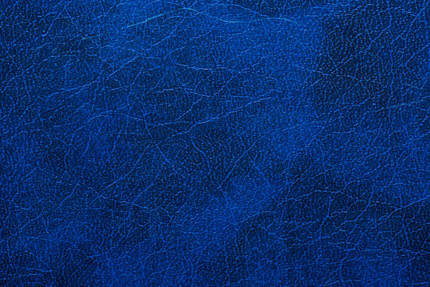 蓝皮书封面纹理。模仿皮肤。图片下载