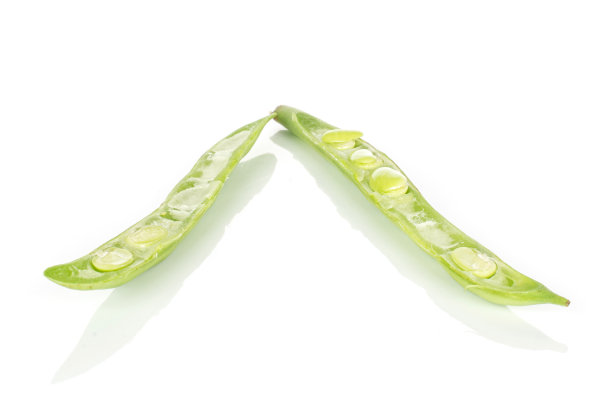新鲜菜豆分离上白图片下载