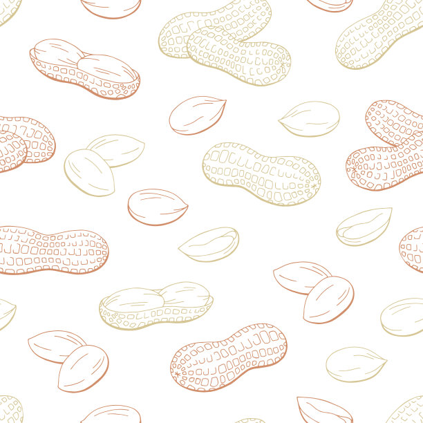 花生图形彩色素描无缝模式背景插图矢量图片下载