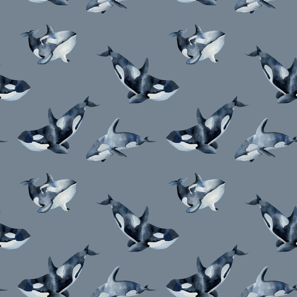 无缝模式与水彩杀手鲸，手绘在灰色背景图片下载