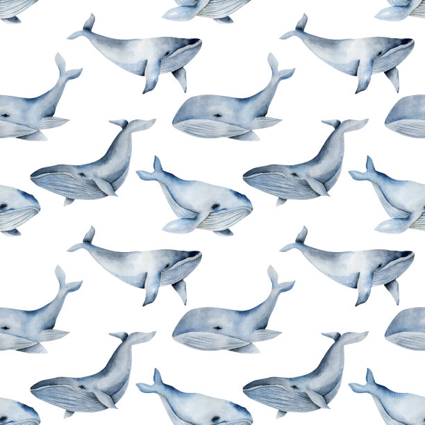 无缝模式与水彩蓝鲸，手绘在一个白色的背景图片下载