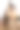 摩根马头和鼻子的滑稽特写肖像图片下载