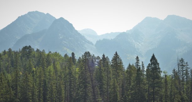 山峰和树顶图片下载