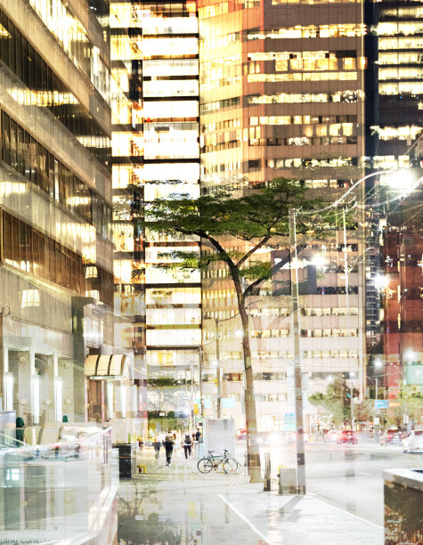 城市的树图片下载