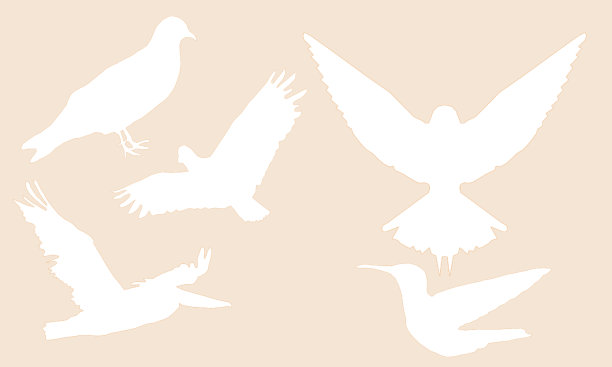 抽象色彩背景与鸟类图片下载