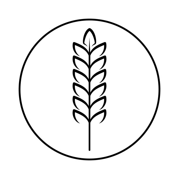 谷物作物的小穗。小麦、黑麦、大米。矢量图像孤立在白色背景。图片下载