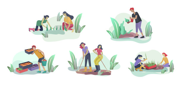 收割和园艺人们做农活和园艺工作，摘浆果，清除杂草，浇水，种植，生长和移植芽，把成熟的蔬菜放在盒子里。收获作物图片下载