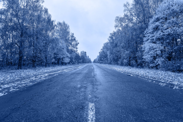 美丽的风景空路在秋天和树林和穆迪多云的天空。图片下载