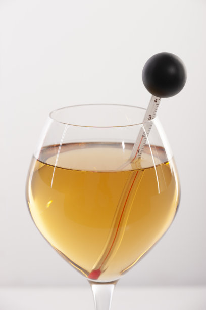 用葡萄酒温度计测量白葡萄酒温度图片下载