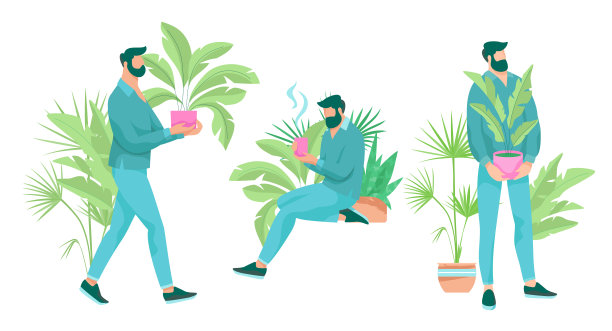 与室内植物为伴的男人图片下载