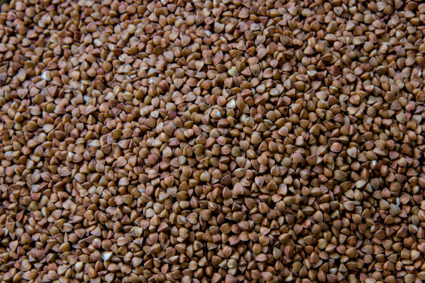 背景干荞麦全框架水平图片下载