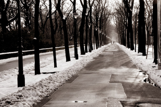 冬天的公园小巷图片下载