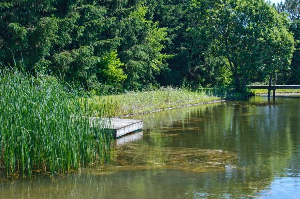 池塘的观点图片下载